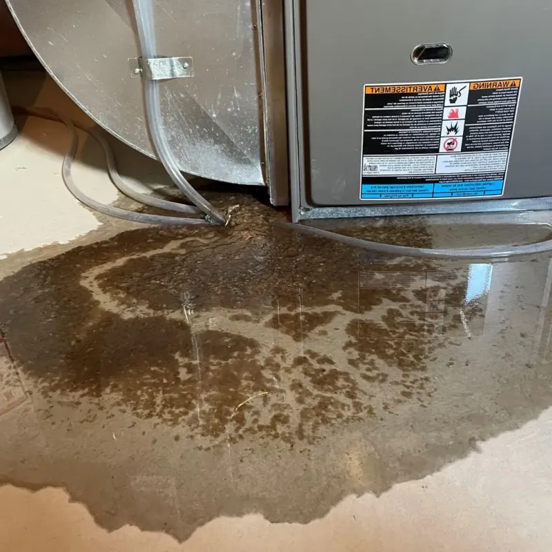 Pipe Burst and Leak Restoration in South Riding, VA